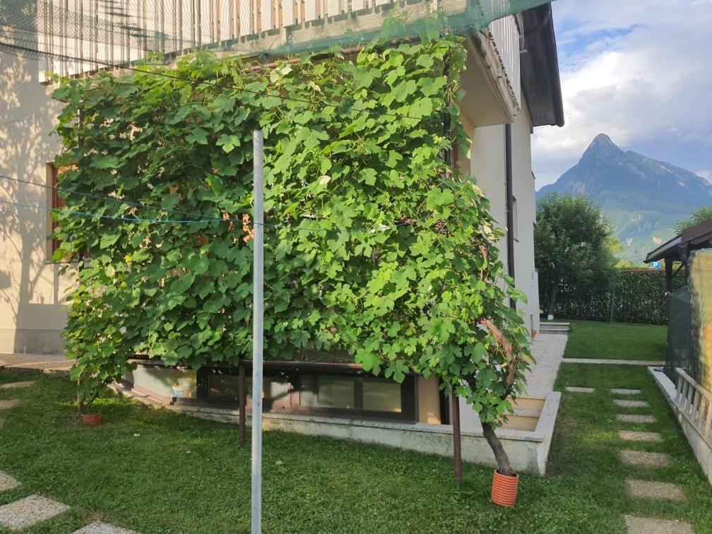 Apartma Buon 博维茨 外观 照片